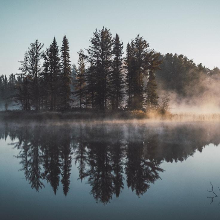National park scenery